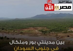 بور ولكال