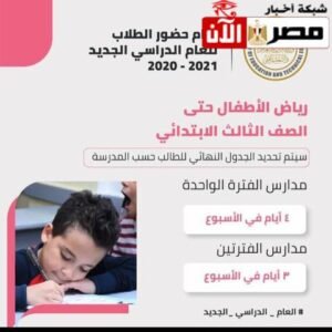 المرحلة الابتدائية