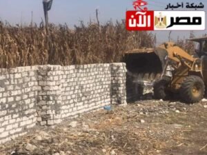 إزالة فوريه لحالة بناء مخالف بطوخ 
