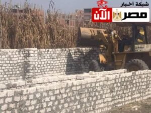 إزالة فوريه لحالة بناء مخالف بطوخ 