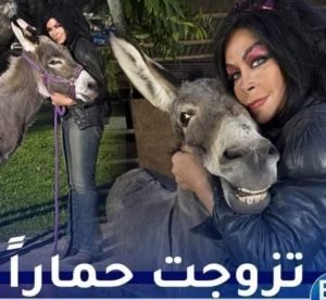 تزوجت حمار