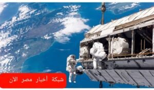 سلالات بكتيريا جديدة