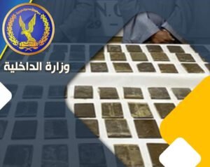 ضبط تشكيل عصابي في الاسكندريه