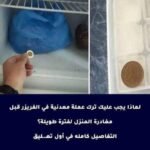 تعرف على السبب الخطير الذى يجعلك تترك عملة معدنية في الفريزر قبل مغادرة المنزل لفترة طويلة