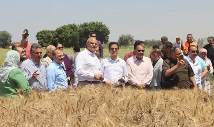 عطيه و الجيزاوي " يفتتحان موسم حصاد القمح بكلية الزراعة بمشتهر 