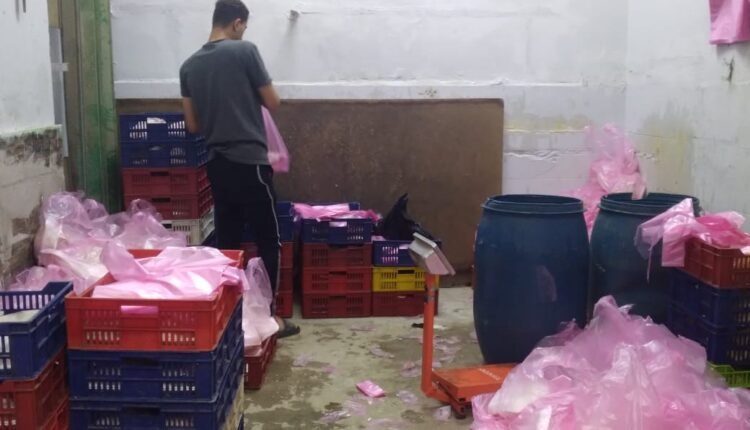 حالة من الجدل في مدينة الخصوص حول فراخ سفير الغلابة