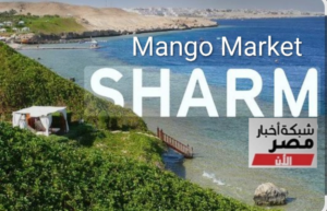 Mango Market 