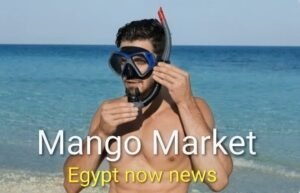 Mango Market 