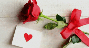 أجمل الكلمات.. أن تكتب لمن تُحب