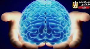 النمطية منطقة الراحة في الدماغ