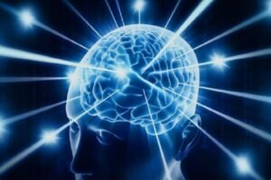 النمطية منطقة الراحة في دماغ الإنسان